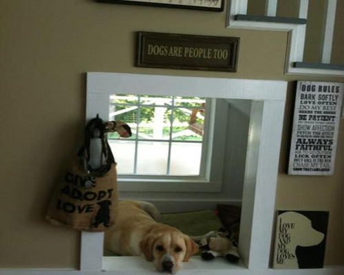 dog house that was built under the stairs