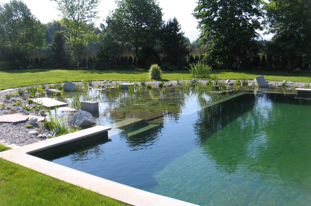 natural pond like swimming pool